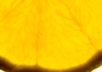 _D808103