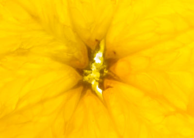 _D808104